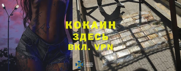 ALPHA PVP Богородицк